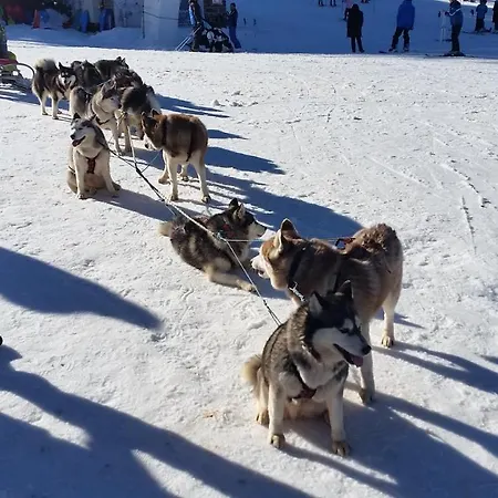 In Laplandia Pamporowo