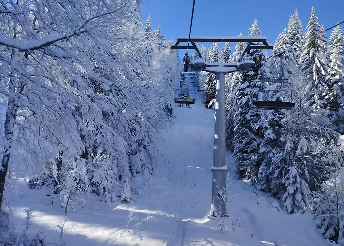 Apartament In Laplandia *